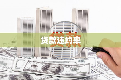 商州贷款违约率