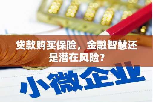 商州贷款购买保险，金融智慧还是潜在风险？