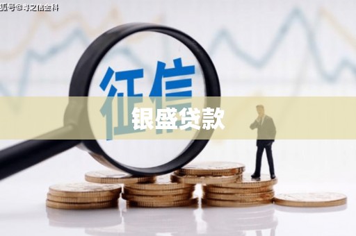 商州银盛贷款