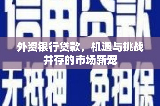 商州外资银行贷款，机遇与挑战并存的市场新宠