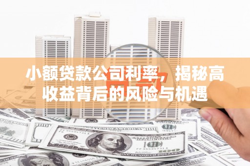 商州小额贷款公司利率，揭秘高收益背后的风险与机遇