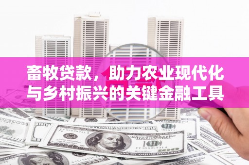 商州畜牧贷款，助力农业现代化与乡村振兴的关键金融工具