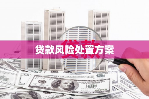 商州贷款风险处置方案