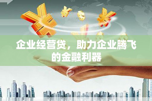 商州企业经营贷，助力企业腾飞的金融利器