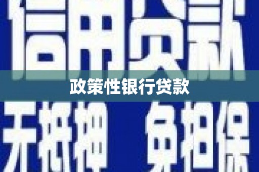 商州政策性银行贷款