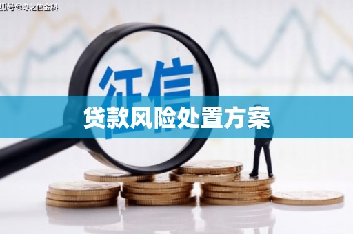 商州贷款风险处置方案