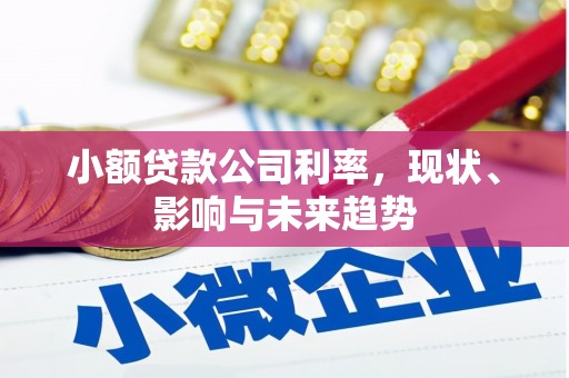 商州小额贷款公司利率，现状、影响与未来趋势