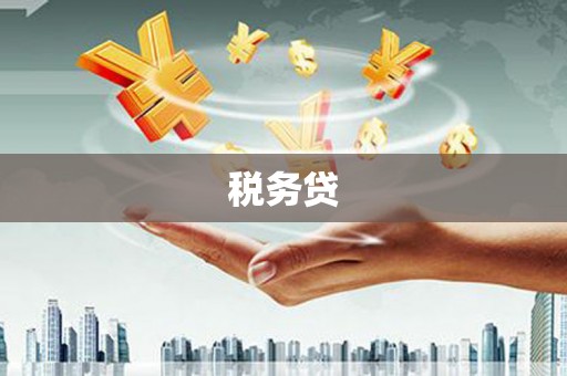 商州税务贷