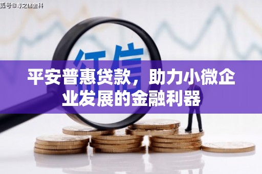 商州平安普惠贷款，助力小微企业发展的金融利器