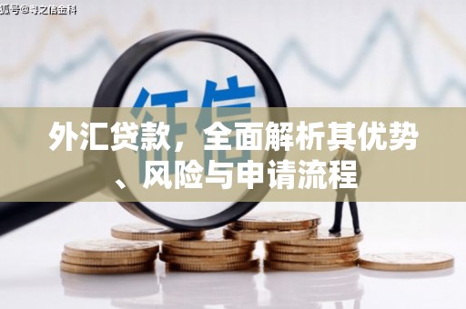 商州外汇贷款，全面解析其优势、风险与申请流程