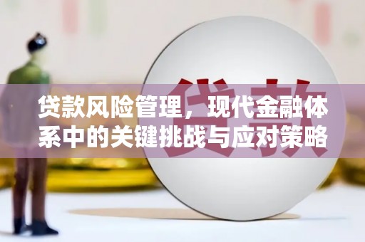 商州贷款风险管理，现代金融体系中的关键挑战与应对策略