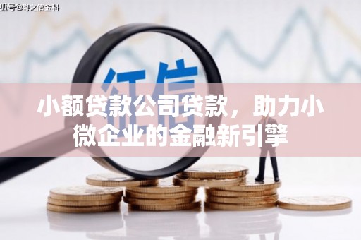 商州小额贷款公司贷款，助力小微企业的金融新引擎