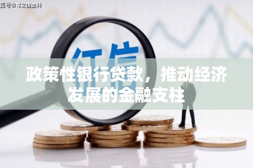 商州政策性银行贷款，推动经济发展的金融支柱
