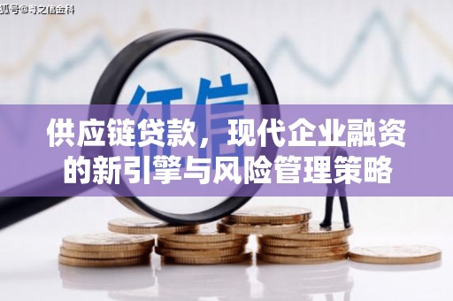 商州供应链贷款，现代企业融资的新引擎与风险管理策略