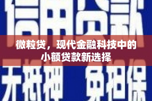 商州微粒贷，现代金融科技中的小额贷款新选择