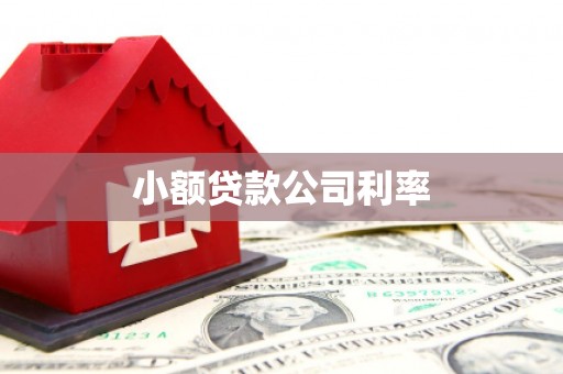 商州小额贷款公司利率