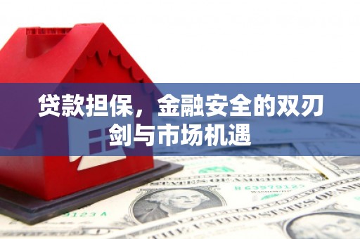 商州贷款担保，金融安全的双刃剑与市场机遇