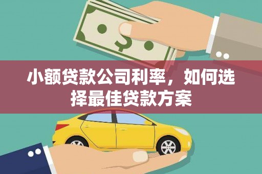 商州小额贷款公司利率，如何选择最佳贷款方案