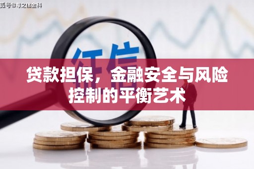 商州贷款担保，金融安全与风险控制的平衡艺术