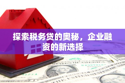 商州探索税务贷的奥秘，企业融资的新选择