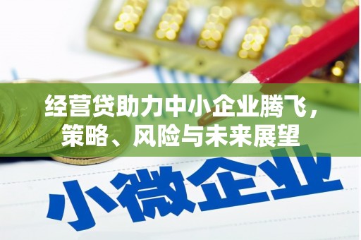 商州经营贷助力中小企业腾飞，策略、风险与未来展望