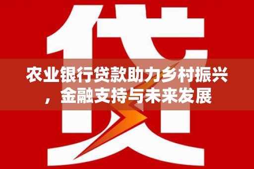 商州农业银行贷款助力乡村振兴，金融支持与未来发展