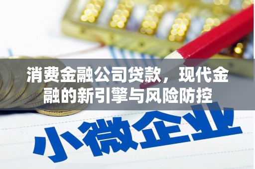 商州消费金融公司贷款，现代金融的新引擎与风险防控