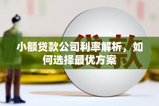 商州小额贷款公司利率解析，如何选择最优方案