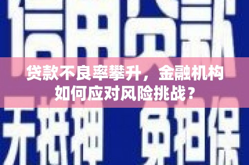 商州贷款不良率攀升，金融机构如何应对风险挑战？