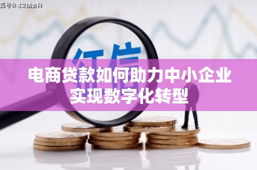 商州电商贷款如何助力中小企业实现数字化转型