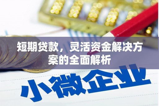 商州短期贷款，灵活资金解决方案的全面解析