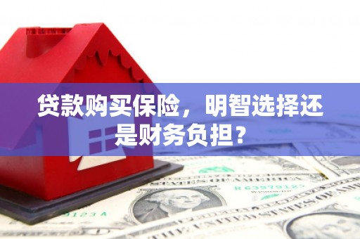 商州贷款购买保险，明智选择还是财务负担？