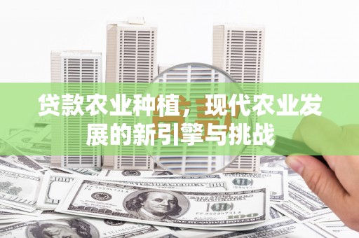 商州贷款农业种植，现代农业发展的新引擎与挑战