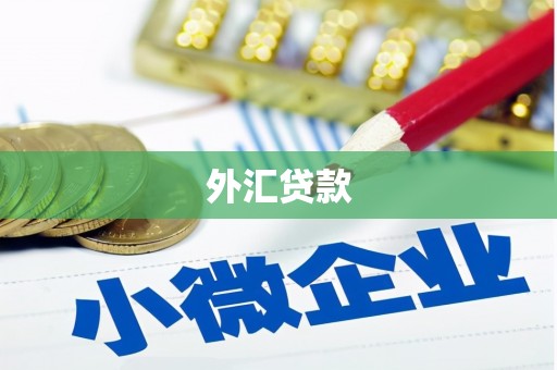 商州外汇贷款