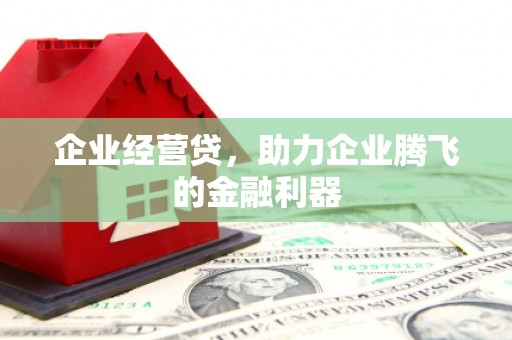 商州企业经营贷，助力企业腾飞的金融利器