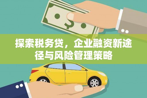 商州探索税务贷，企业融资新途径与风险管理策略