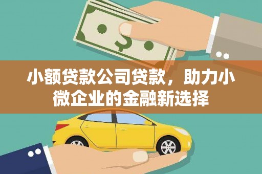 商州小额贷款公司贷款，助力小微企业的金融新选择