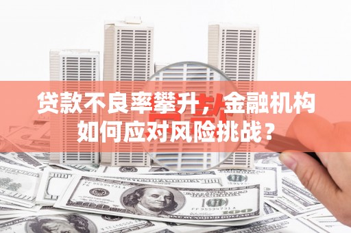 商州贷款不良率攀升，金融机构如何应对风险挑战？
