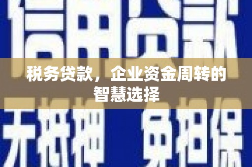 商州税务贷款，企业资金周转的智慧选择