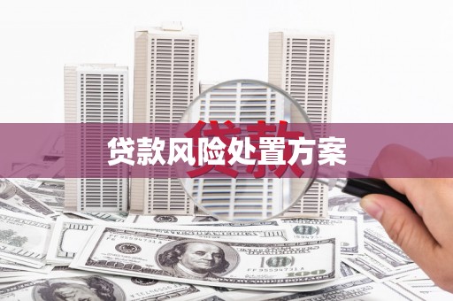 商州贷款风险处置方案