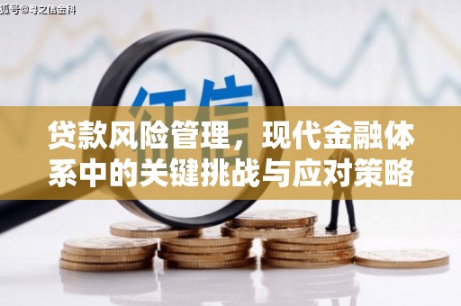 商州贷款风险管理，现代金融体系中的关键挑战与应对策略
