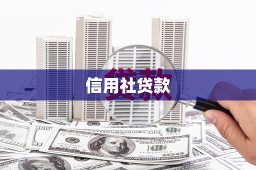商州信用社贷款