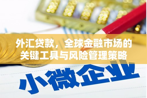 商州外汇贷款，全球金融市场的关键工具与风险管理策略