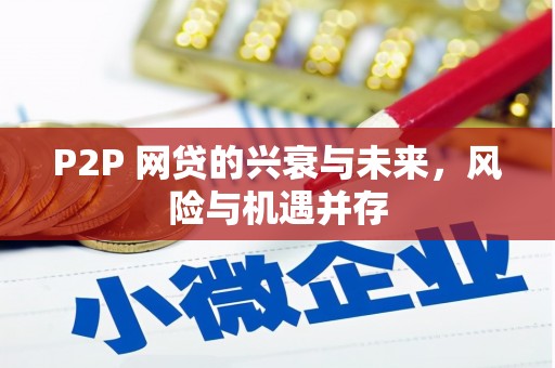 商州P2P 网贷的兴衰与未来，风险与机遇并存