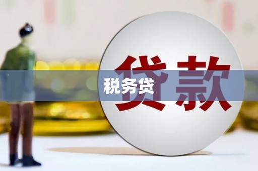 商州税务贷
