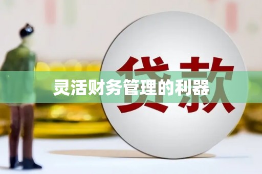 商州灵活财务管理的利器