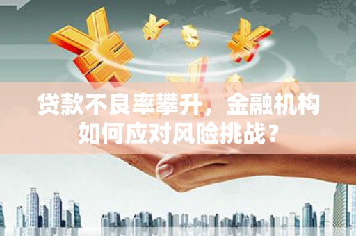 商州贷款不良率攀升，金融机构如何应对风险挑战？