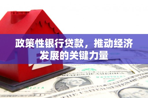 商州政策性银行贷款，推动经济发展的关键力量