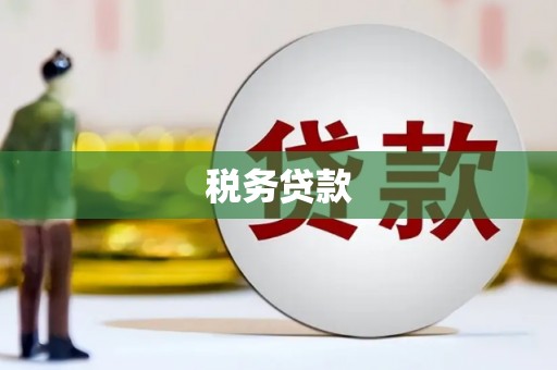 商州税务贷款