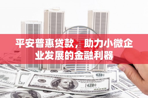 商州平安普惠贷款，助力小微企业发展的金融利器